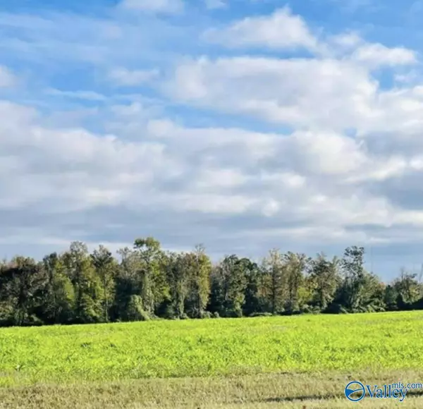 392 & 418 Scenic Drive, Section, AL 35771