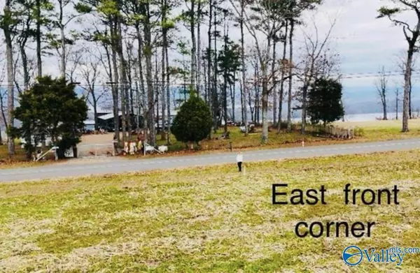 392 & 418 Scenic Drive, Section, AL 35771