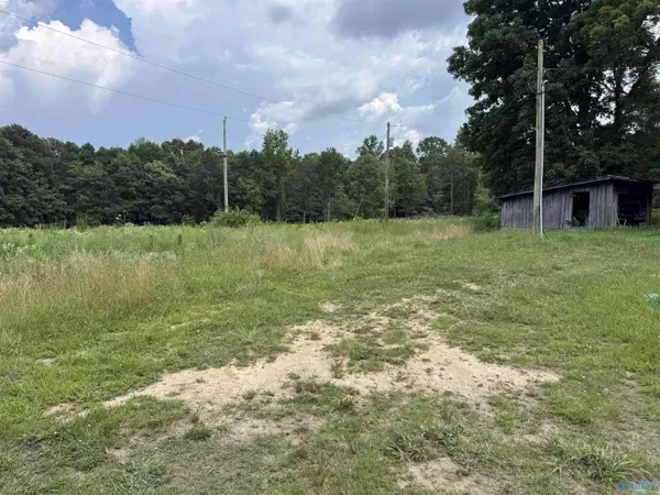 166 Alabama Highway 146, Scottsboro, AL 35768