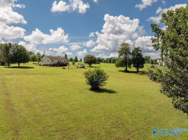 768 Mount Road, Scottsboro, AL 35769