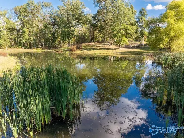 436 Pace Drive, Woodville, AL 35776