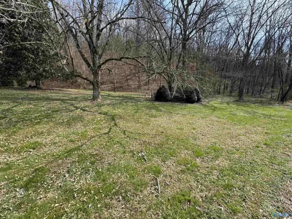 2018 County Road 140, Estillfork, AL 35745