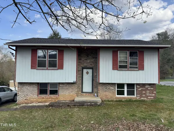 350 Mountain View DR, Hampton, TN 37658