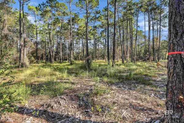 0 Bay Road, Foley, AL 36535