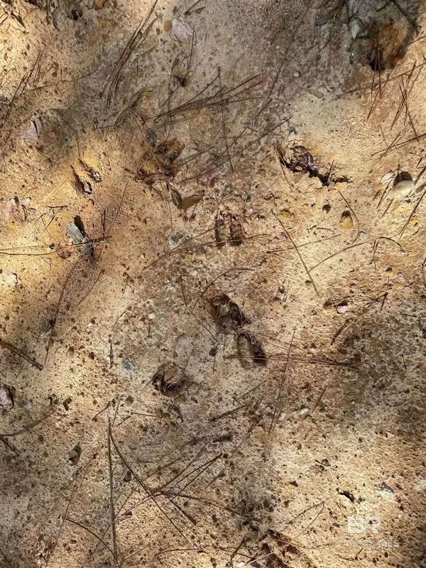 0 Bay Road, Foley, AL 36535