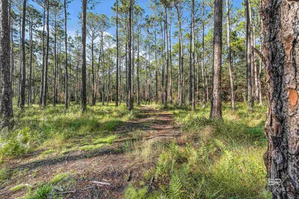 0 Bay Road, Foley, AL 36535