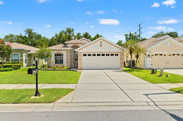 2913 Banyan Hill Ln, Land O Lakes, FL 34639-6786