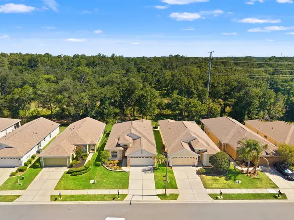 2913 Banyan Hill Ln, Land O Lakes, FL 34639-6786
