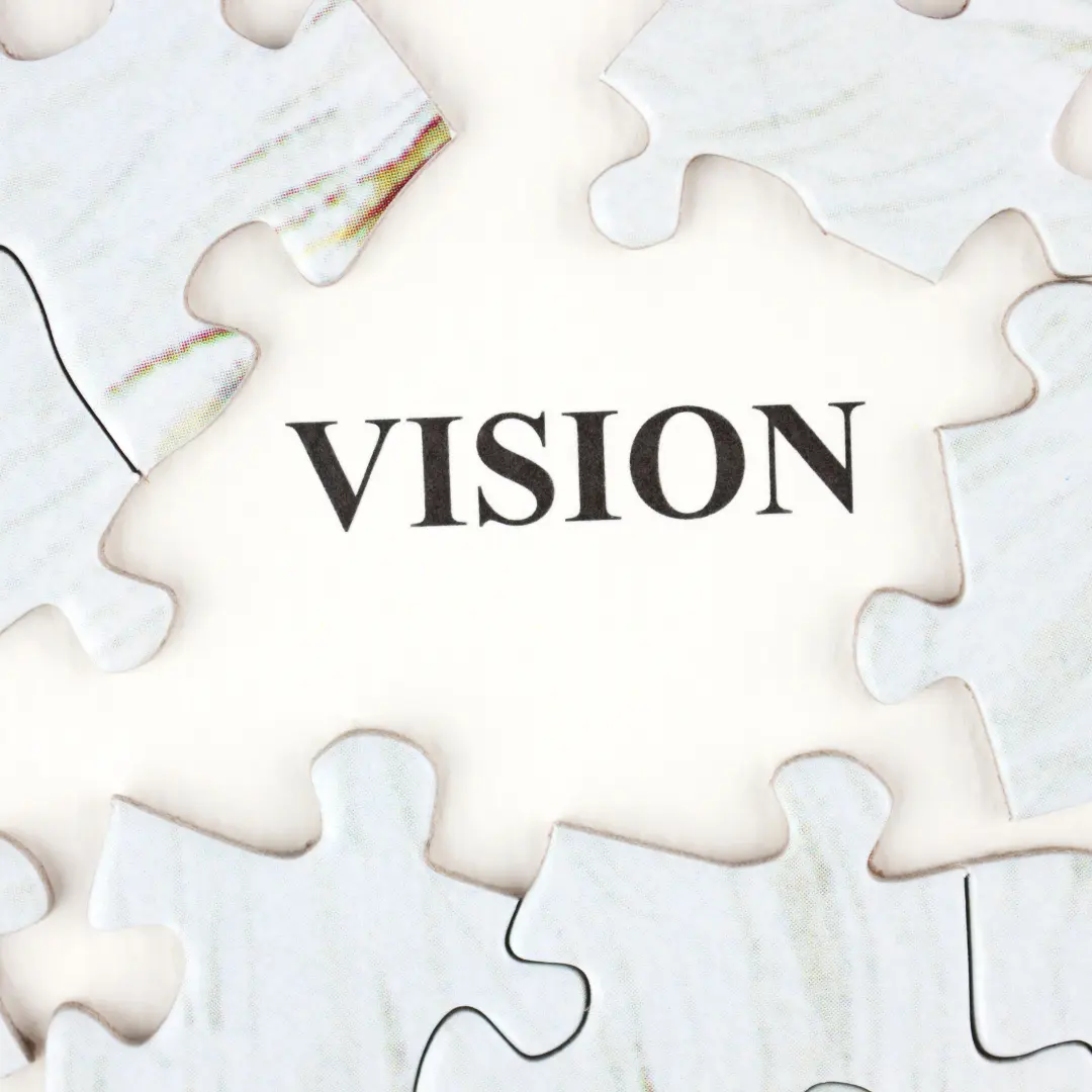 Vision