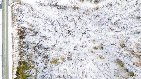 0 Stage RD, Lynchburg, VA 24504