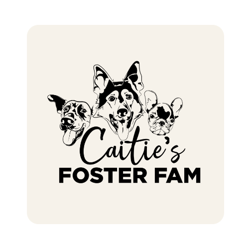 Catie's Foster Fam