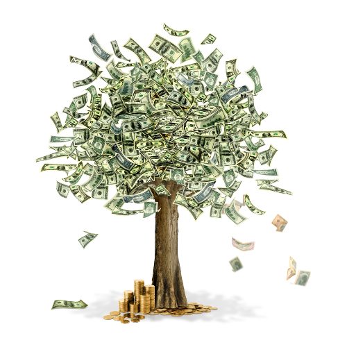 Money Tree