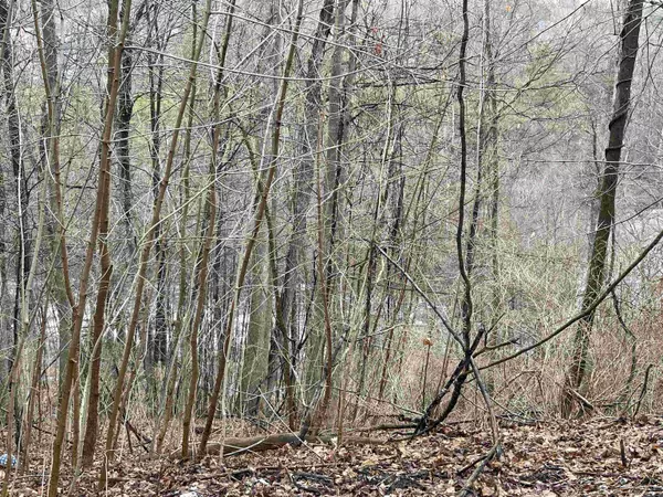 112 Pleasant ST, Franklin, NH 03235