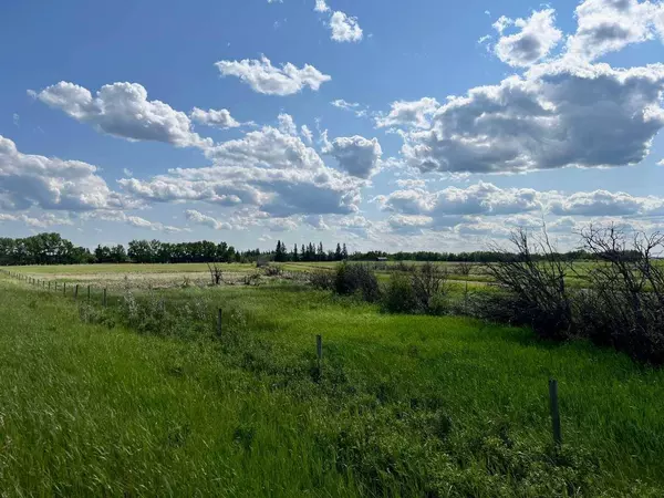 NE-15-40-13 W4, Rural Flagstaff County, AB T0B 0A0