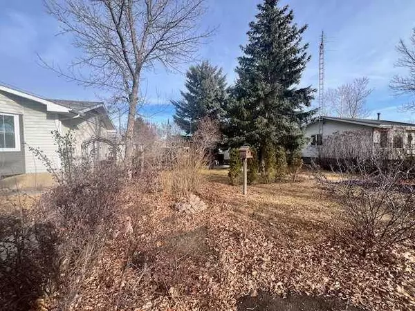 4913 47 AVE, Forestburg, AB T0B 1N0