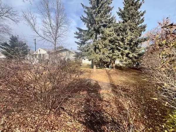 4913 47 AVE, Forestburg, AB T0B 1N0