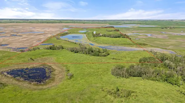 480075 RR 104, Rural Wainwright No. 61,m.d. Of, AB T0B 0A0