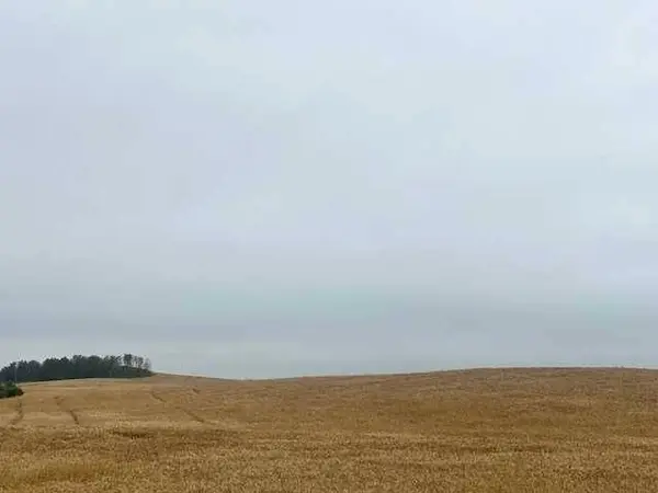 NW 32-40-14 W4, Rural Flagstaff County, AB T0B 1N0