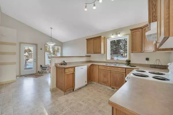 1024 19 AVE, Lousana, AB T0M 1K0