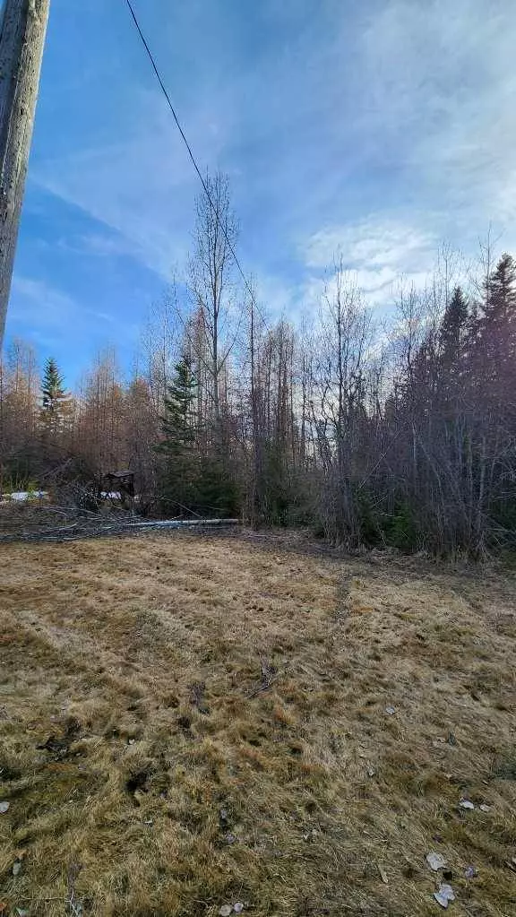 71037 Township Road 39-3, Rural Clearwater County, AB T0M 0C0