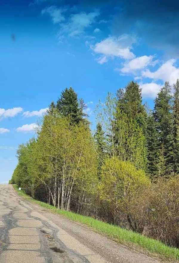 71037 Township Road 39-3, Rural Clearwater County, AB T0M 0C0