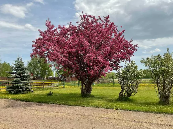 370043 Range Road 6-1, Rural Clearwater County, AB T4T 2A3