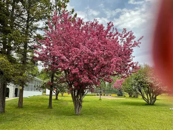 370043 Range Road 6-1, Rural Clearwater County, AB T4T 2A3