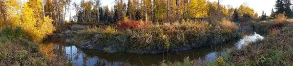 411048C Buster Creek, Rural Clearwater County, AB T4T 1A5