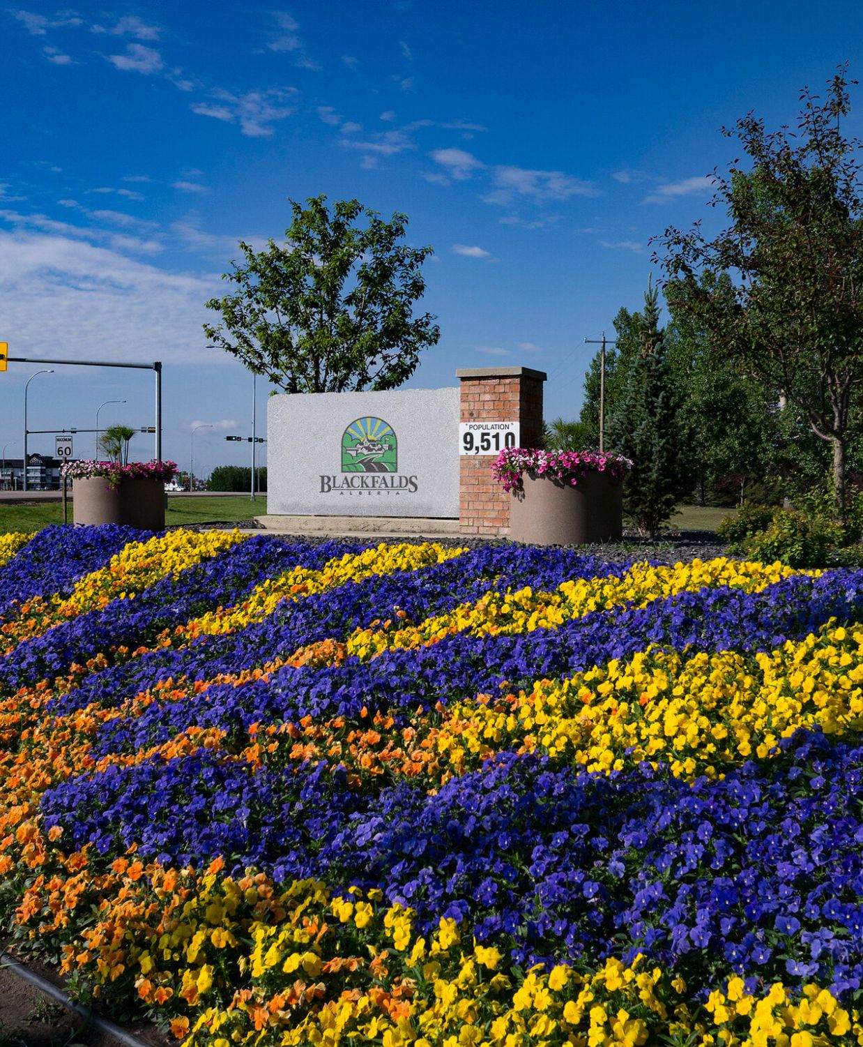 Blackfalds Alberta, Brian Jenkins Realtor, Jenkins Real Estate Co. Coldwell Banker OnTrack Realty