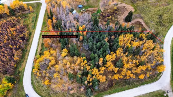 15015 Township Road 424 Township #4, Rural Ponoka County, AB T0B 0H0