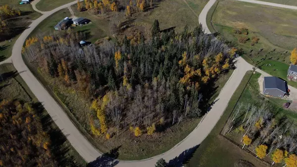 15015 Township Road 424 Township #4, Rural Ponoka County, AB T0B 0H0