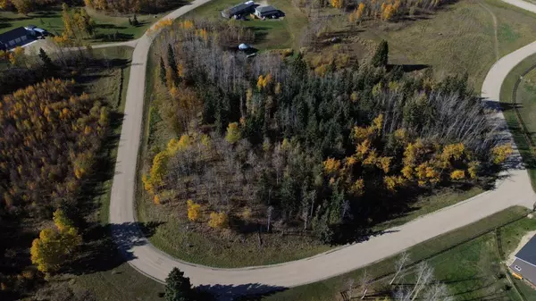 15015 Township Road 424 Township #4, Rural Ponoka County, AB T0B 0H0