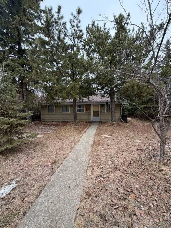 85 OLIVER AVE, Gull Lake, AB T0C 2J0