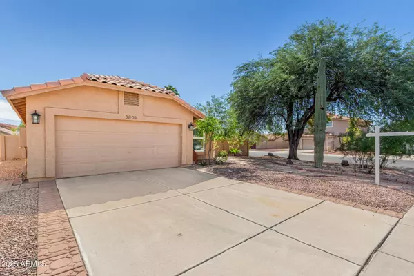 3801 E Blue Flax Avenue, Phoenix, AZ 85044