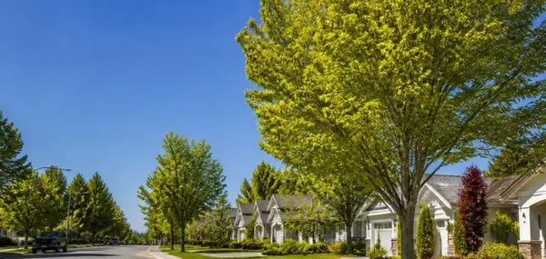 Is Clovis a Good Place to Live? A Local Guide