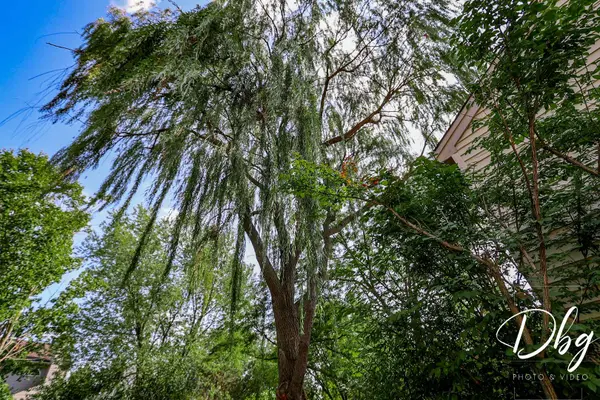 81 W Dahlia LN, Round Lake Beach, IL 60073