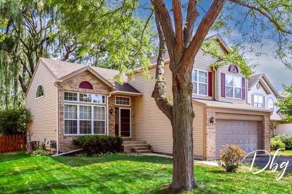 81 W Dahlia LN, Round Lake Beach, IL 60073