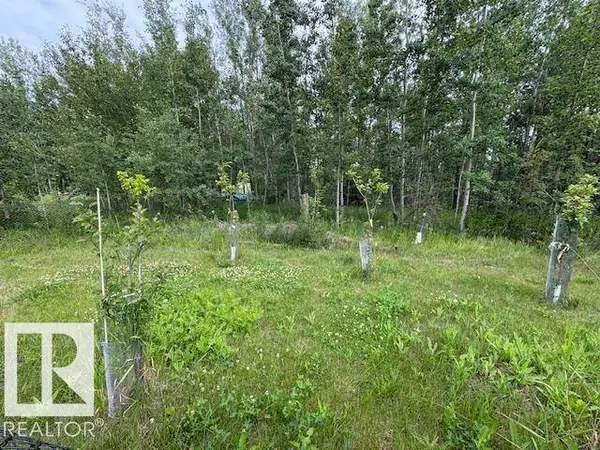 Rge Rd 2 Twp 46, Rural Wetaskiwin County, AB T0C 2V0