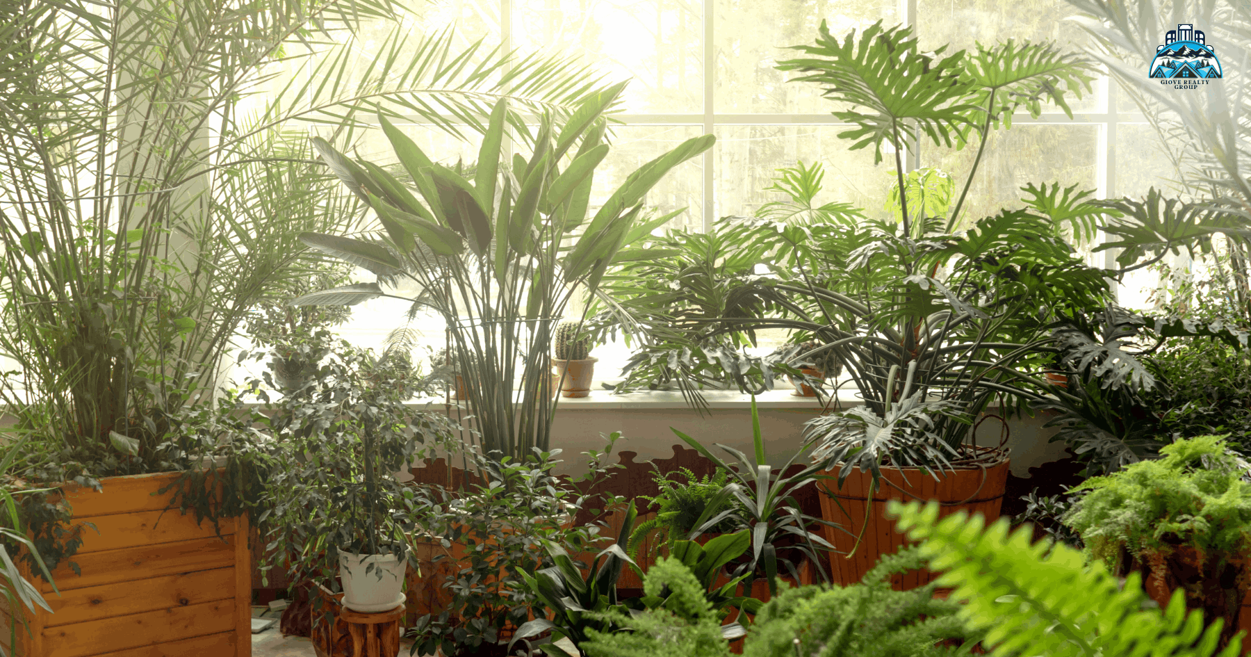Image result for Low-Maintenance Indoor Gardening Ideas - Matt Giove - Giove Realty ...