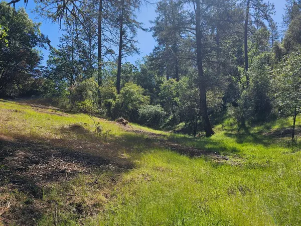 19730 Wedemeyer PL, Weimar, CA 95713