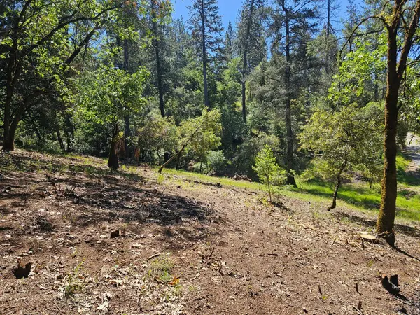 19730 Wedemeyer PL, Weimar, CA 95713