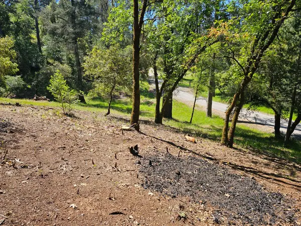 19730 Wedemeyer PL, Weimar, CA 95713