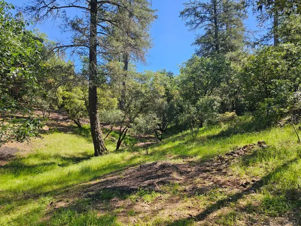 19730 Wedemeyer PL, Weimar, CA 95713