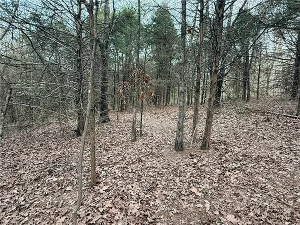 Bassingham Dr, Bella Vista, AR 72715