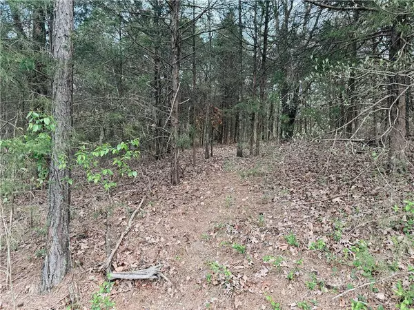 Bassingham Dr, Bella Vista, AR 72715