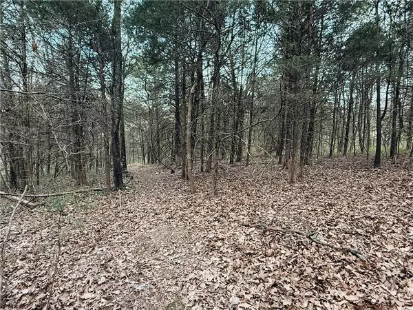 Bassingham Dr, Bella Vista, AR 72715