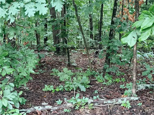 Cranfield Dr, Bella Vista, AR 72714