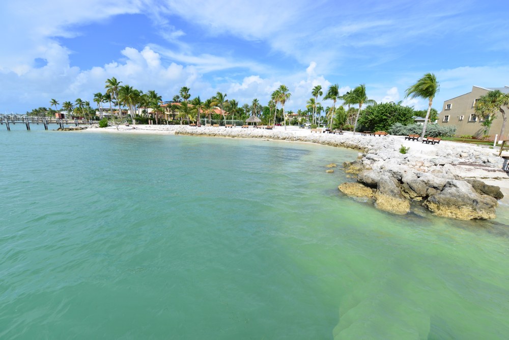 Key Colony Beach shoreline with clear water and palm trees in the Florida Keys