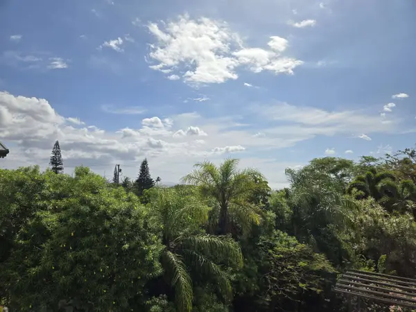 3129 Mapu Pl, Kihei, HI 96753