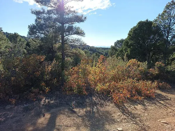 LOT 86 Ponderosa Hills, Kiowa, CO 81082